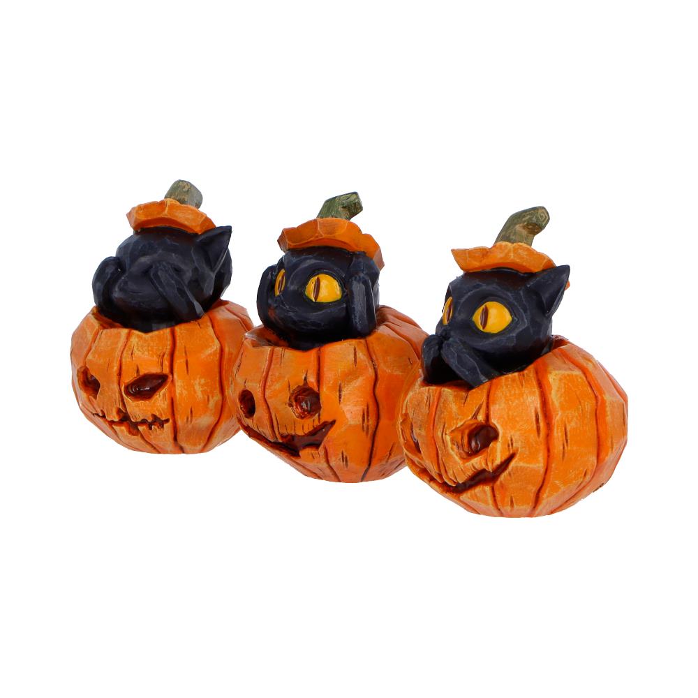 Three Wise Halloween Pumpkin Patch Cats – Spooky Halloween Decor