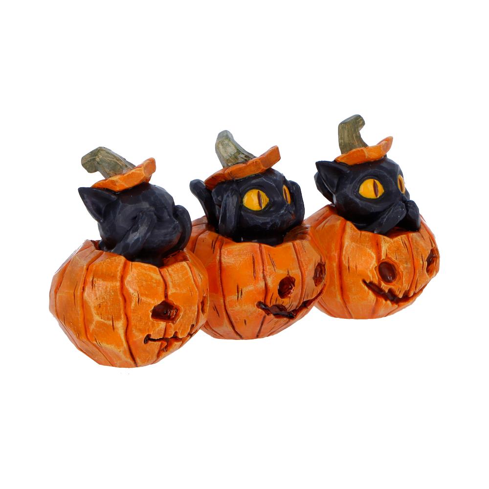 Three Wise Halloween Pumpkin Patch Cats – Spooky Halloween Decor