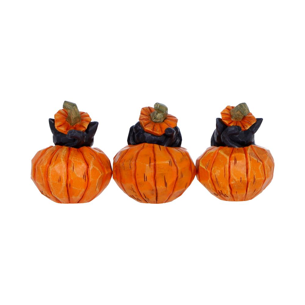 Three Wise Halloween Pumpkin Patch Cats – Spooky Halloween Decor