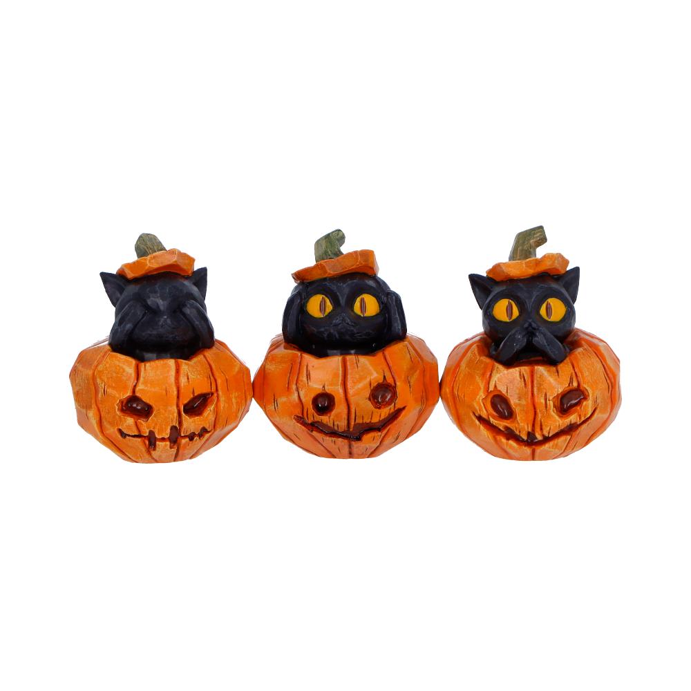 Three Wise Halloween Pumpkin Patch Cats – Spooky Halloween Decor